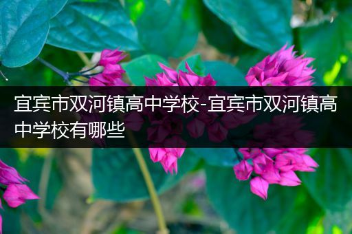 宜宾市双河镇高中学校-宜宾市双河镇高中学校有哪些