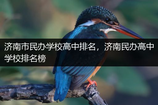 济南市民办学校高中排名，济南民办高中学校排名榜
