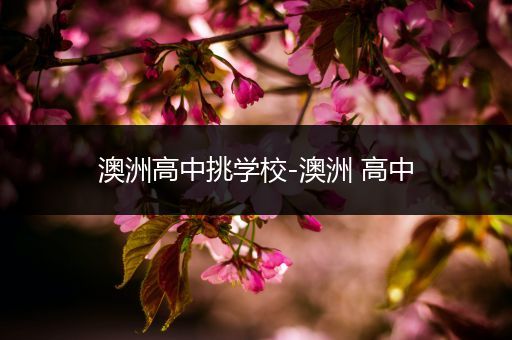 澳洲高中挑学校-澳洲 高中
