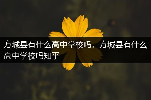 方城县有什么高中学校吗，方城县有什么高中学校吗知乎