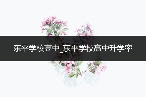 东平学校高中_东平学校高中升学率