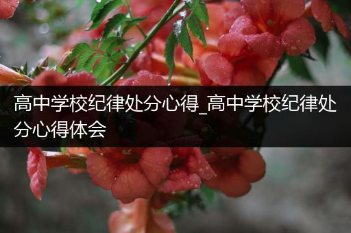 高中学校纪律处分心得_高中学校纪律处分心得体会