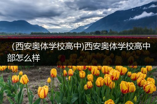 （西安奥体学校高中)西安奥体学校高中部怎么样
