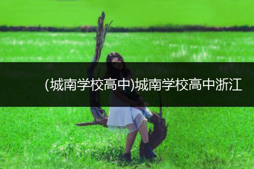 （城南学校高中)城南学校高中浙江
