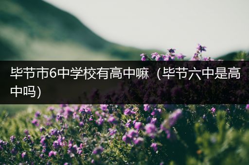 毕节市6中学校有高中嘛（毕节六中是高中吗）