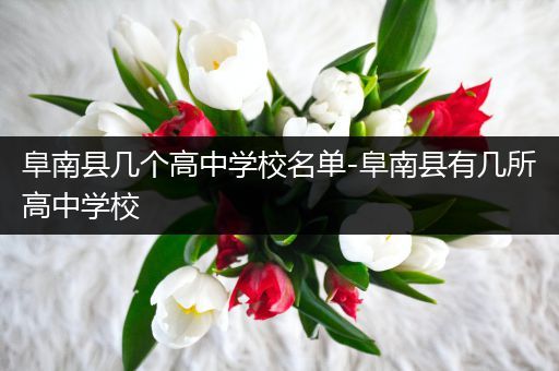 阜南县几个高中学校名单-阜南县有几所高中学校