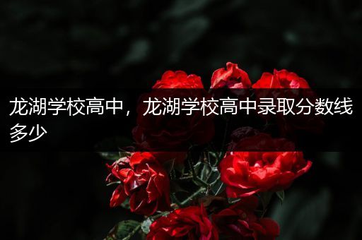龙湖学校高中，龙湖学校高中录取分数线多少