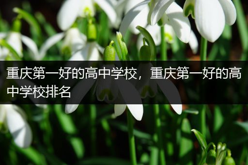 重庆第一好的高中学校，重庆第一好的高中学校排名