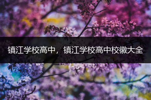 镇江学校高中，镇江学校高中校徽大全