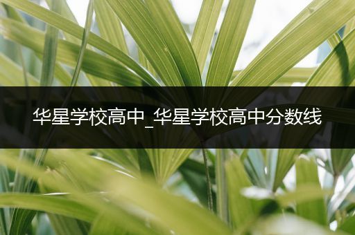 华星学校高中_华星学校高中分数线