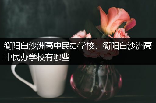衡阳白沙洲高中民办学校，衡阳白沙洲高中民办学校有哪些