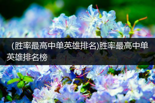 （胜率最高中单英雄排名)胜率最高中单英雄排名榜