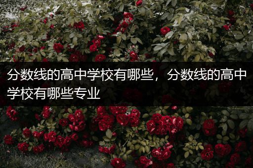 分数线的高中学校有哪些，分数线的高中学校有哪些专业