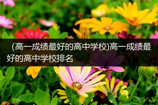 （高一成绩最好的高中学校)高一成绩最好的高中学校排名