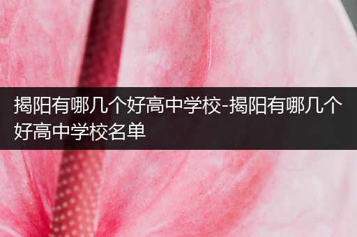 揭阳有哪几个好高中学校-揭阳有哪几个好高中学校名单