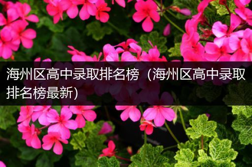 海州区高中录取排名榜（海州区高中录取排名榜最新）
