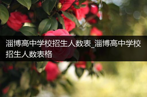 淄博高中学校招生人数表_淄博高中学校招生人数表格
