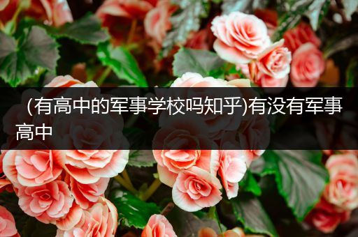 （有高中的军事学校吗知乎)有没有军事高中