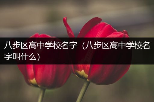八步区高中学校名字（八步区高中学校名字叫什么）
