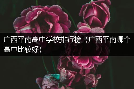 广西平南高中学校排行榜（广西平南哪个高中比较好）