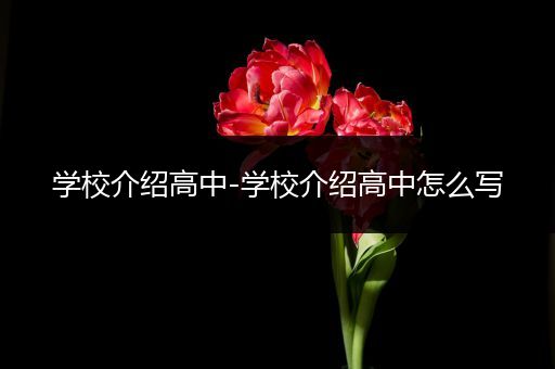 学校介绍高中-学校介绍高中怎么写