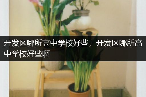 开发区哪所高中学校好些，开发区哪所高中学校好些啊