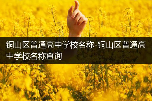 铜山区普通高中学校名称-铜山区普通高中学校名称查询