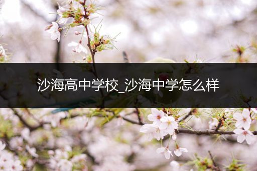 沙海高中学校_沙海中学怎么样