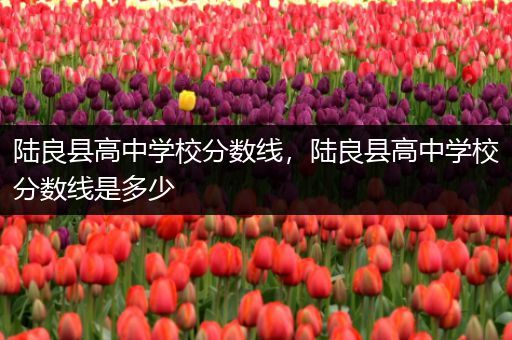 陆良县高中学校分数线，陆良县高中学校分数线是多少