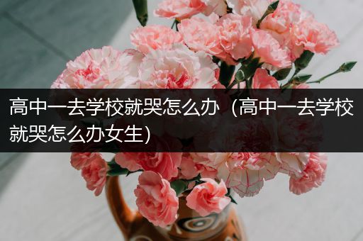 高中一去学校就哭怎么办（高中一去学校就哭怎么办女生）
