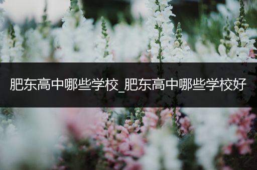 肥东高中哪些学校_肥东高中哪些学校好