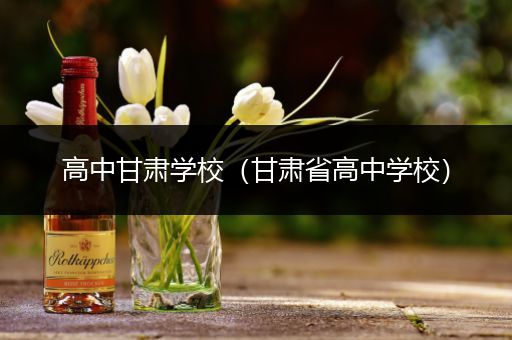 高中甘肃学校（甘肃省高中学校）