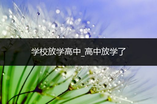 学校放学高中_高中放学了