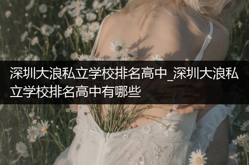 深圳大浪私立学校排名高中_深圳大浪私立学校排名高中有哪些