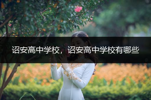 诏安高中学校，诏安高中学校有哪些