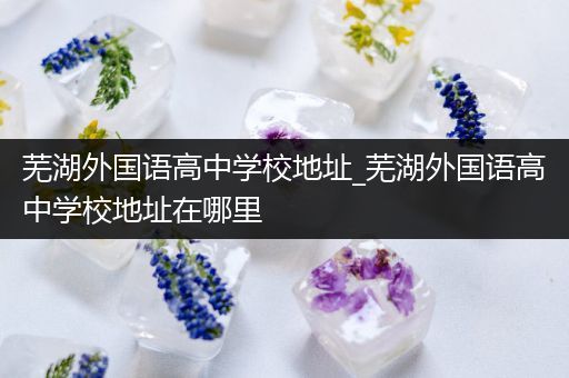芜湖外国语高中学校地址_芜湖外国语高中学校地址在哪里