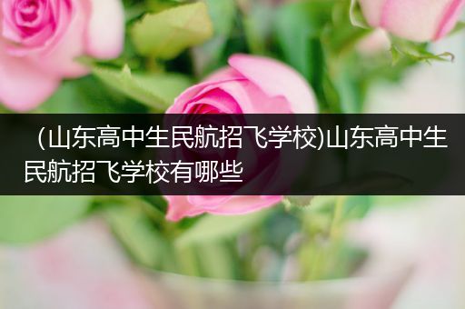 （山东高中生民航招飞学校)山东高中生民航招飞学校有哪些