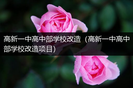 高新一中高中部学校改造（高新一中高中部学校改造项目）