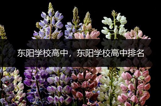 东阳学校高中，东阳学校高中排名
