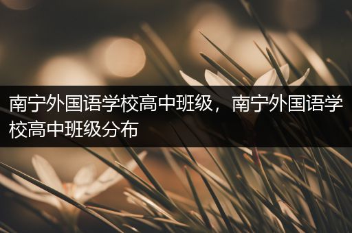 南宁外国语学校高中班级，南宁外国语学校高中班级分布
