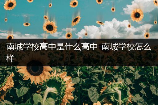 南城学校高中是什么高中-南城学校怎么样