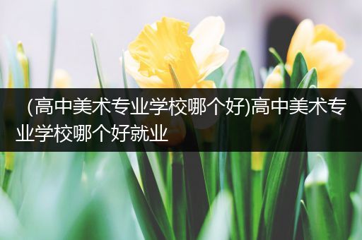（高中美术专业学校哪个好)高中美术专业学校哪个好就业