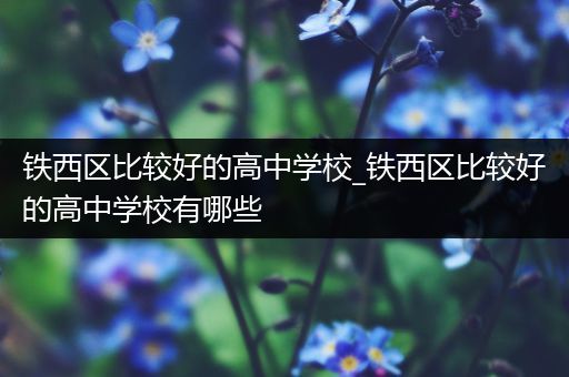 铁西区比较好的高中学校_铁西区比较好的高中学校有哪些