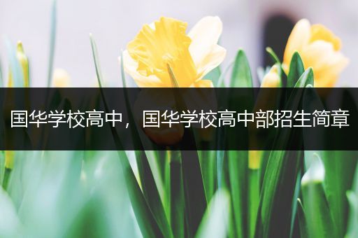 国华学校高中，国华学校高中部招生简章