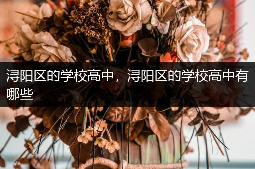 浔阳区的学校高中，浔阳区的学校高中有哪些