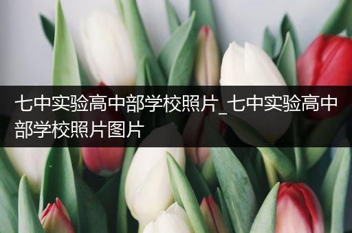 七中实验高中部学校照片_七中实验高中部学校照片图片