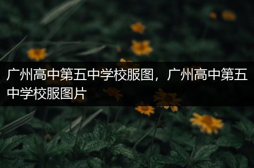 广州高中第五中学校服图，广州高中第五中学校服图片