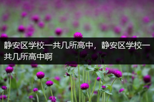 静安区学校一共几所高中，静安区学校一共几所高中啊