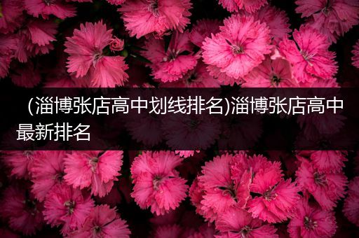 （淄博张店高中划线排名)淄博张店高中最新排名