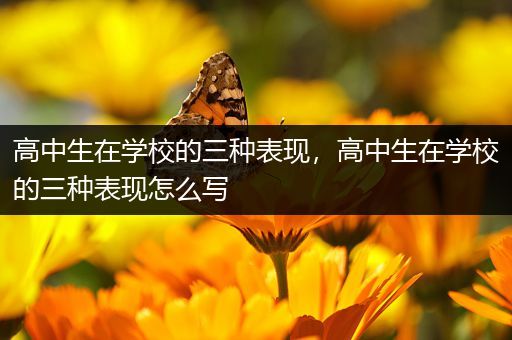 高中生在学校的三种表现，高中生在学校的三种表现怎么写
